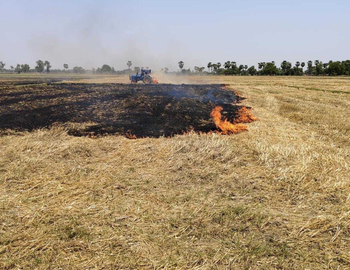 खेतों में पराली जलाते पकड़े जाने पर बंद हो जायेगा योजनाओं का लाभ