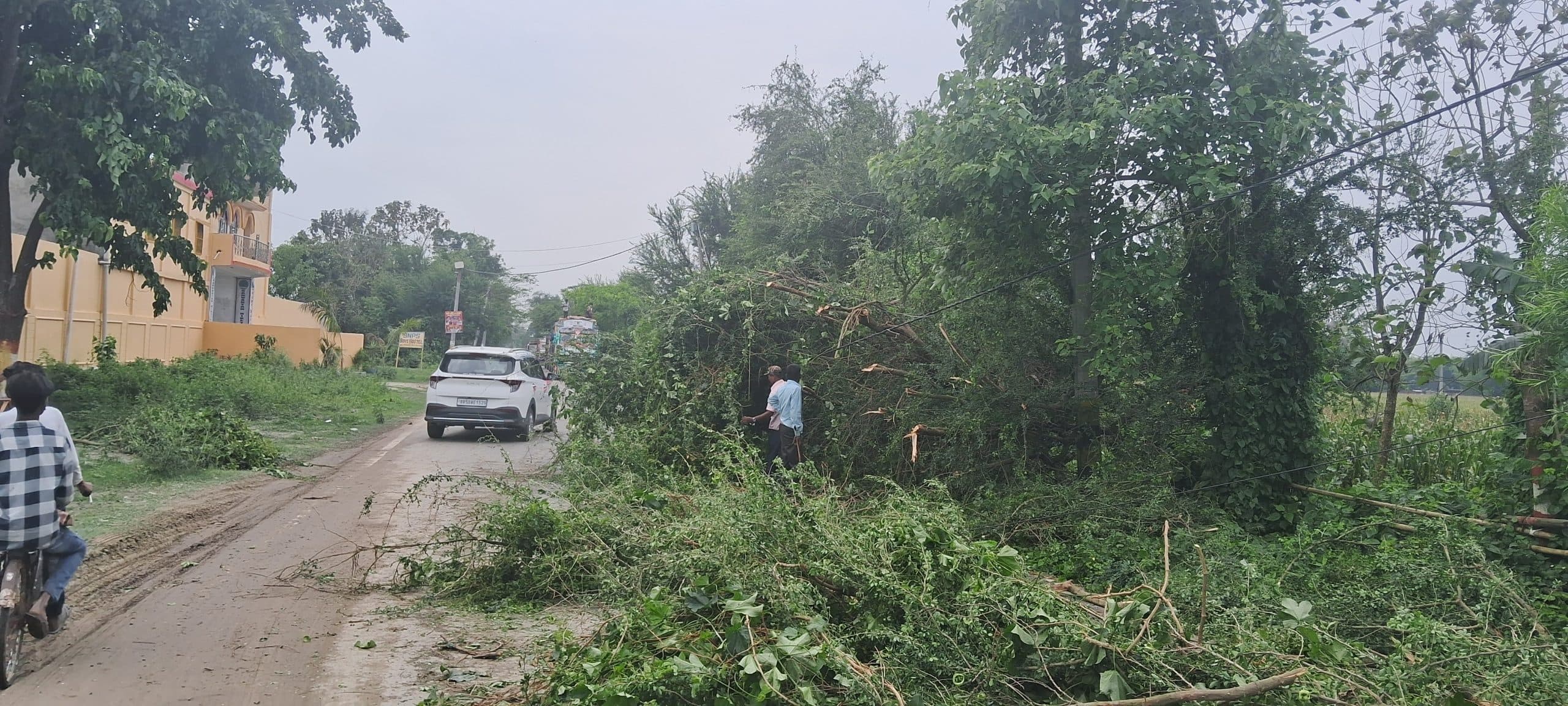 आंधी और बारिश ने मचाई भारी तबाही, जनजीवन अस्त-व्यस्त
