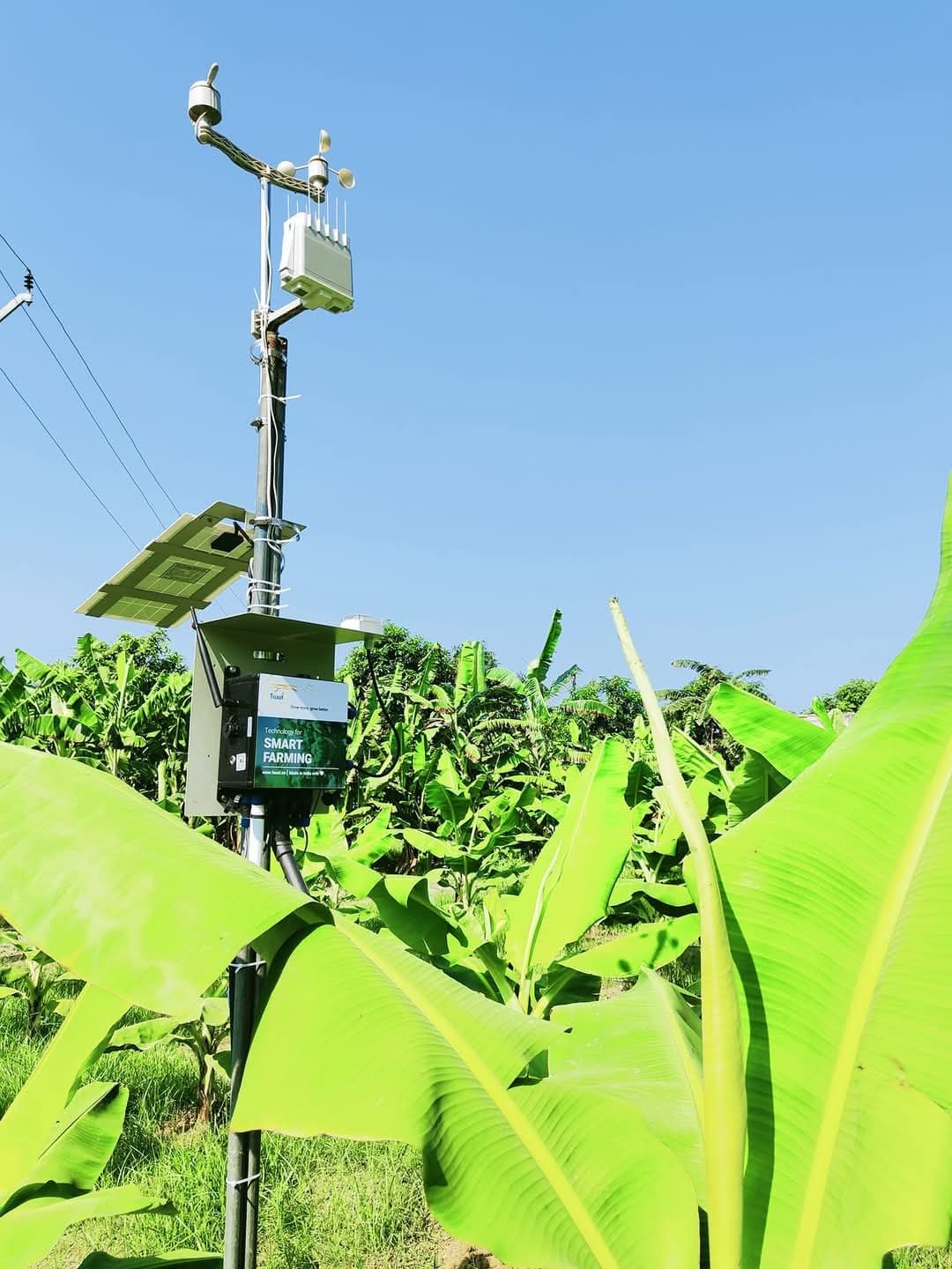 Agriculture university news from Samastipur:खेती में एआई तकनीक अपनाने की जरूरत : डा सिंह