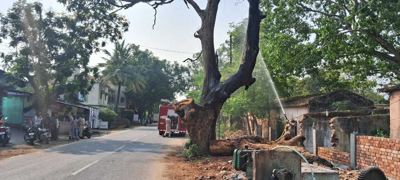 सूखे पेड़ में हाई टेंशन तार में शॉर्ट सर्किट से लगी आग