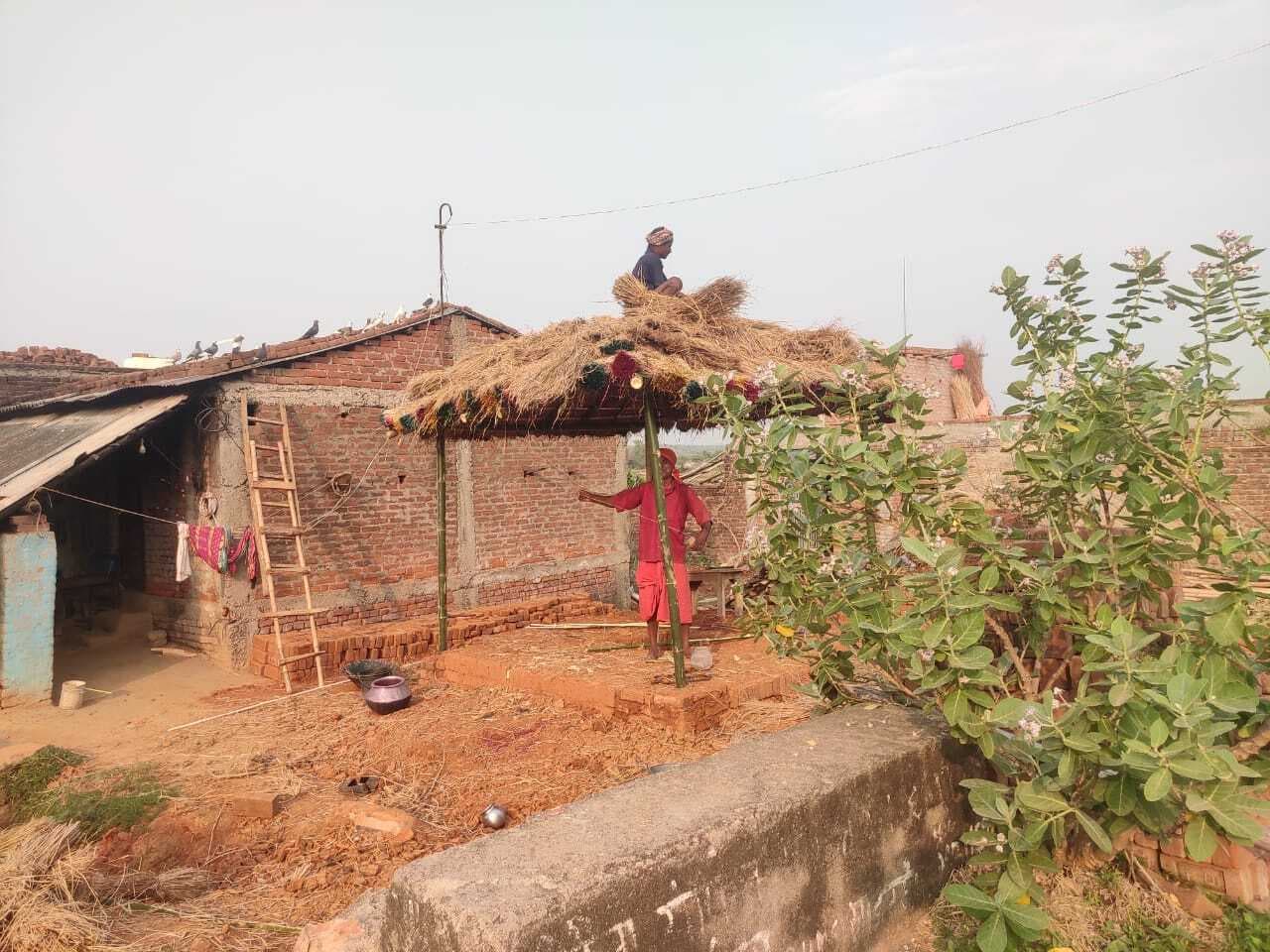 सरकारी भूमि से अतिक्रमण हटाने के दूसरे दिन बांस गाड़कर डाल दिया पुआल का छप्पर