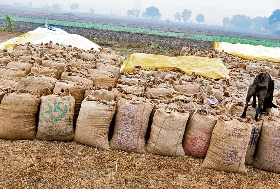 Buxar News : एक सप्ताह में मात्र पांच किसानों से की गयी गेहूं की खरीदारी