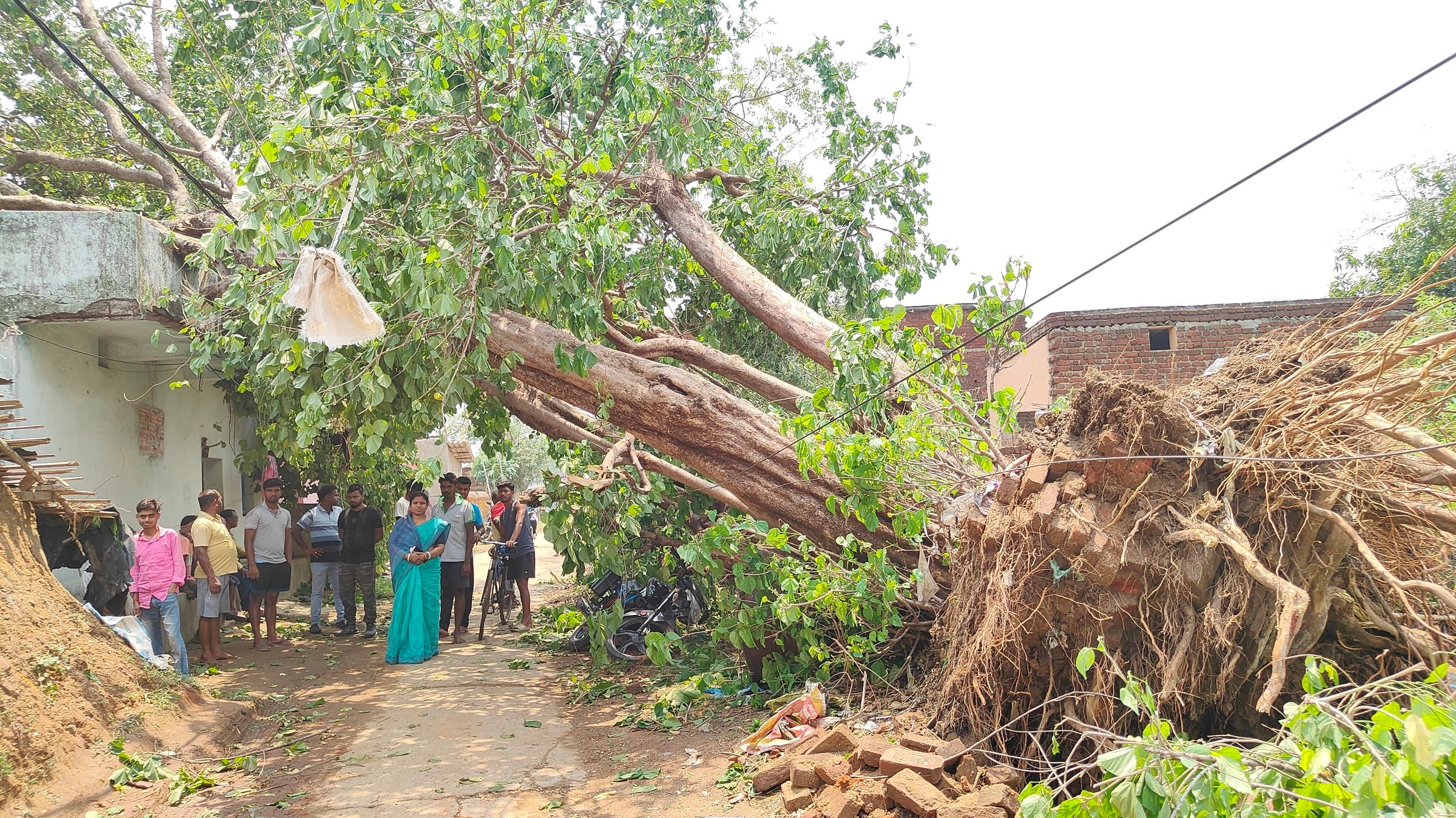 Bokaro News : आंधी से दो घरों पर गिरा पेड़, बाल-बाल बचे लोग