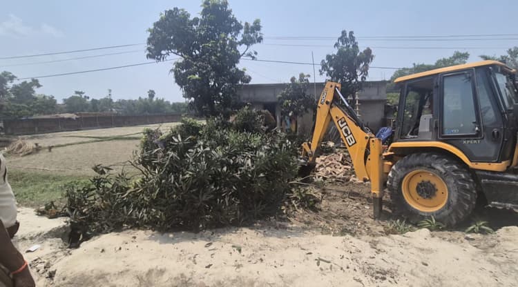 अतिक्रमण हटाने के नाम पर सीओ की मौजूदगी में हरे भरे फलदार वृक्ष को काटा