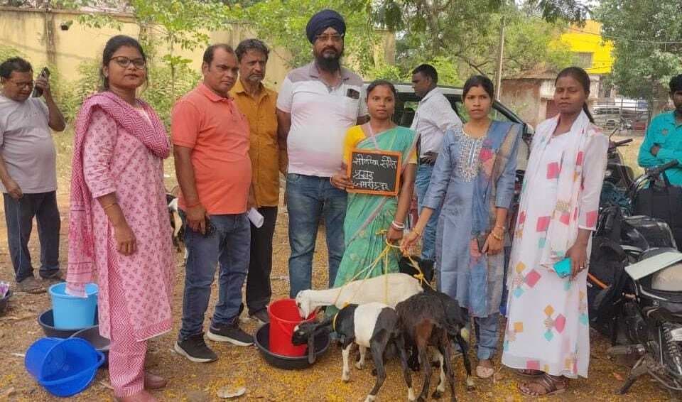 Jamshedpur news. जमशेदपुर प्रखंड में 20 लाभुकों को पशुधन वितरित किया