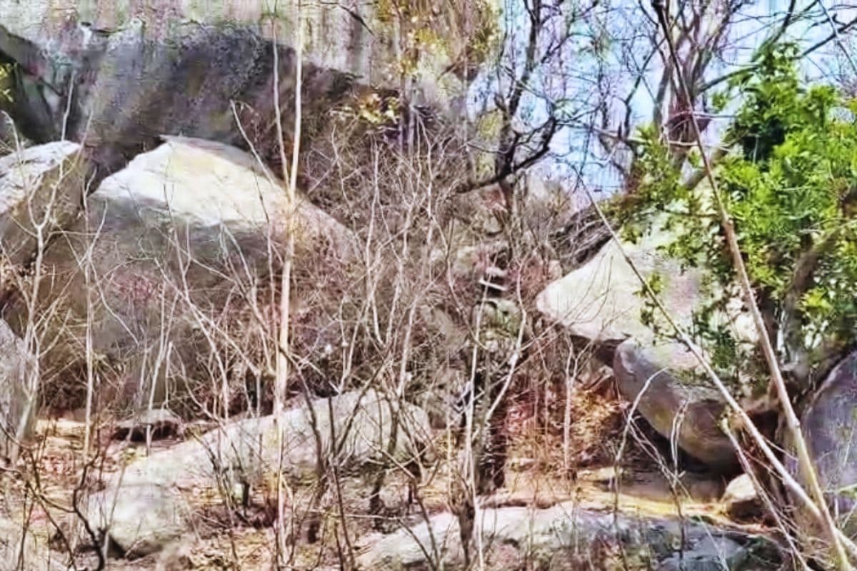 Video: बिहार को दहलाने की बड़ी साजिश नाकाम! 10 किलो के दो हाई एक्सप्लोसिव बम को किया गया डिफ्यूज