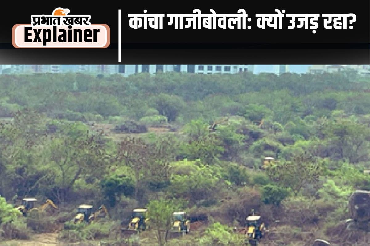 Hyderabad Forest News: जंगल बचाने के लिए चिपको से लेकर कांचा गाजीबोवली आंदोलन तक