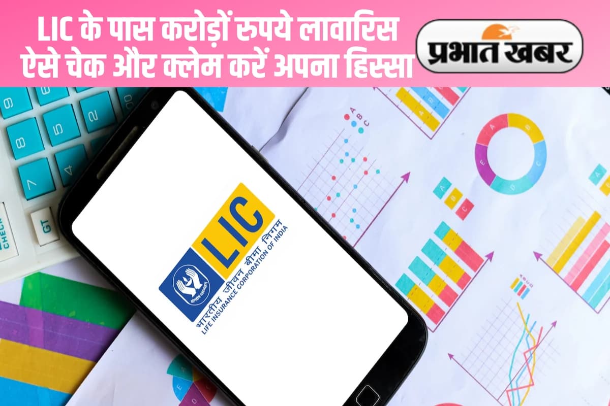 LIC में जमा करोड़ों रुपये में से आपका हिस्सा कितना है? ऐसे करें चेक और क्लेम!