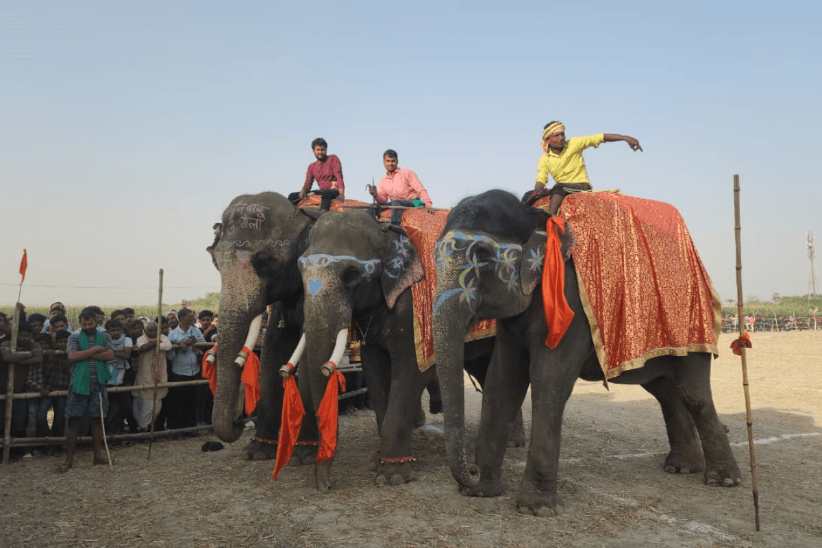 'प्रमोद के घोड़े' और 'बबलू की हाथी' ने मारी बाजी, केंद्रीय मंत्री ने दिया पुरस्कार