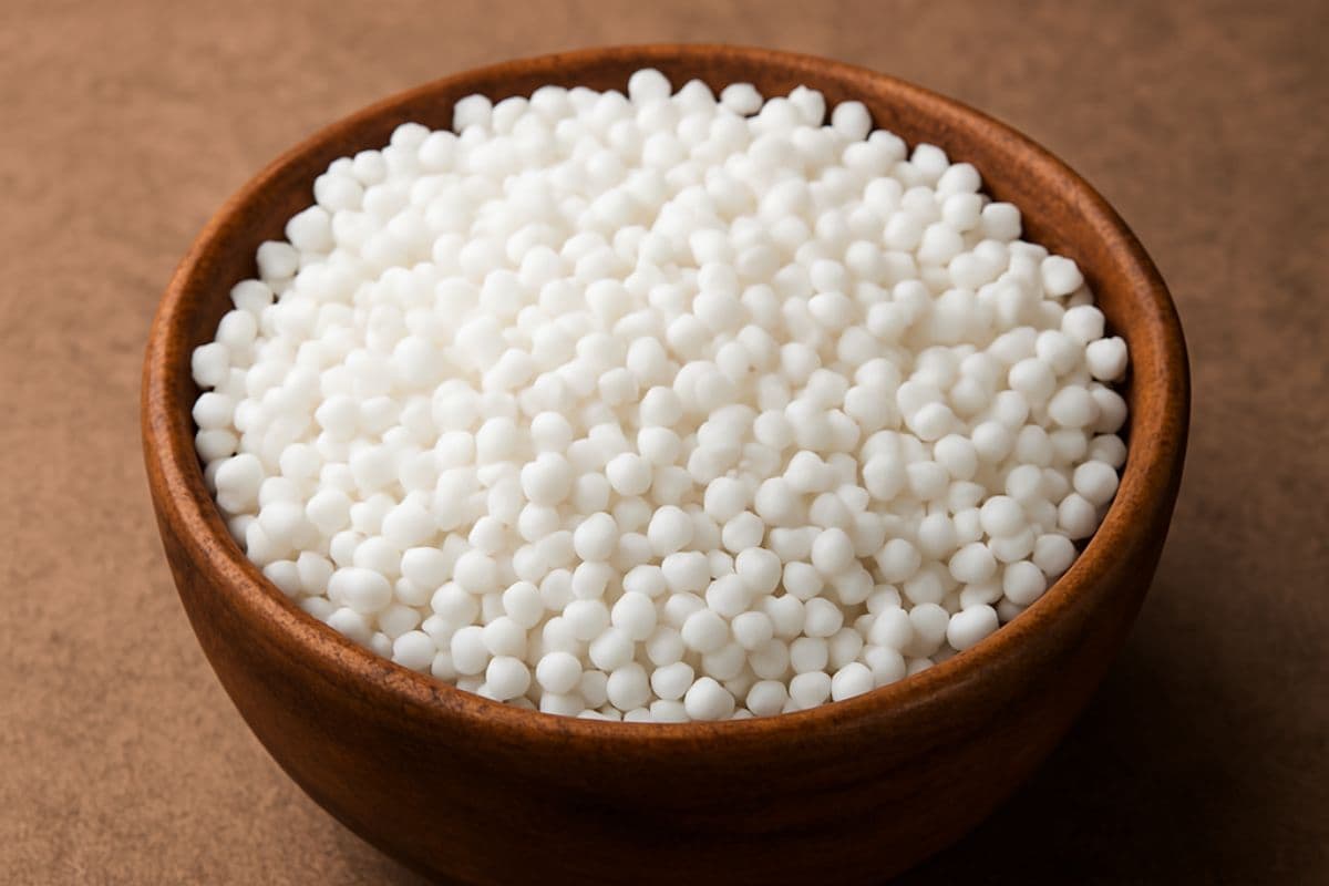 Sabudana Recipes: सिर्फ व्रत नहीं, हर मौके पर बनाएं साबूदाने की ये खास डिशेज, जो है बहुत कमाल 