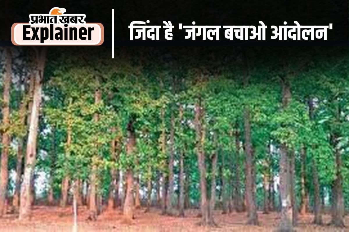 Save Forest Movement: 'साल' के जंगल बचाने के लिए 18 आदिवासियों ने दी थी कुर्बानी