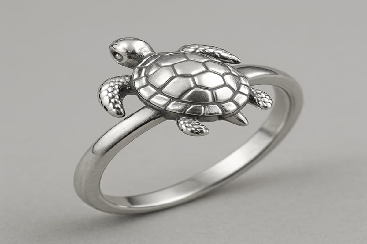 Feng Shui Tips: पैसे की तंगी हो या अशांति, कछुए की अंगूठी लाएगी समाधान!