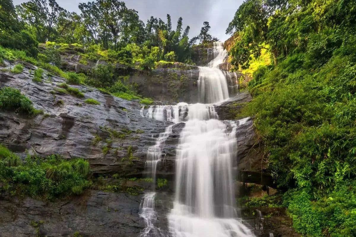 Waterfalls in Bihar: गर्मियों में ठंडक, सुकून और रोमांच चाहिए? बिहार के ये झरने हो सकते हैं परफेक्ट डेस्टिनेशन