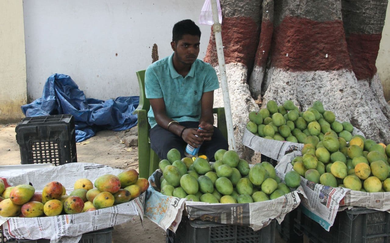 बिहार के बाजार में उतरा इस सीजन का बंबइयां आम और लीची की पहली खेप, ग्राहकों का मन खट्टा कर रहा बेस्वाद