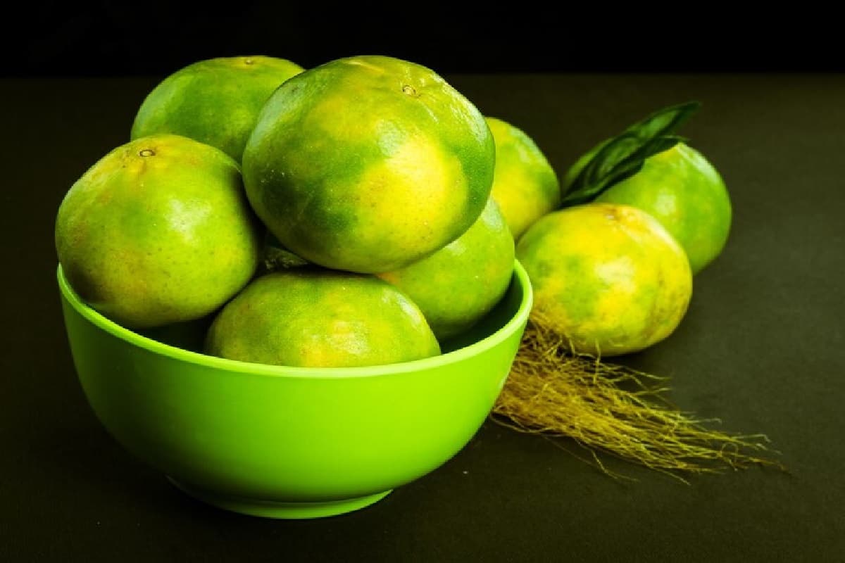 Foods To Avoid With Lemon: नींबू के साथ भूलकर भी न खाएं ये चीज़ें, वरना सेहत को हो सकता है बड़ा नुकसान!