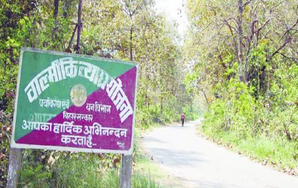 Bihar News: वन विभाग की टीम पर खनन माफियाओं का हमला, रेंजर समेत 7 जख्मी