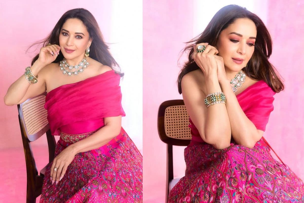 Madhuri Dixit Net Worth: फिल्मों से लेकर बिजनेस तक, कितनी अमीर हैं धक-धक गर्ल?