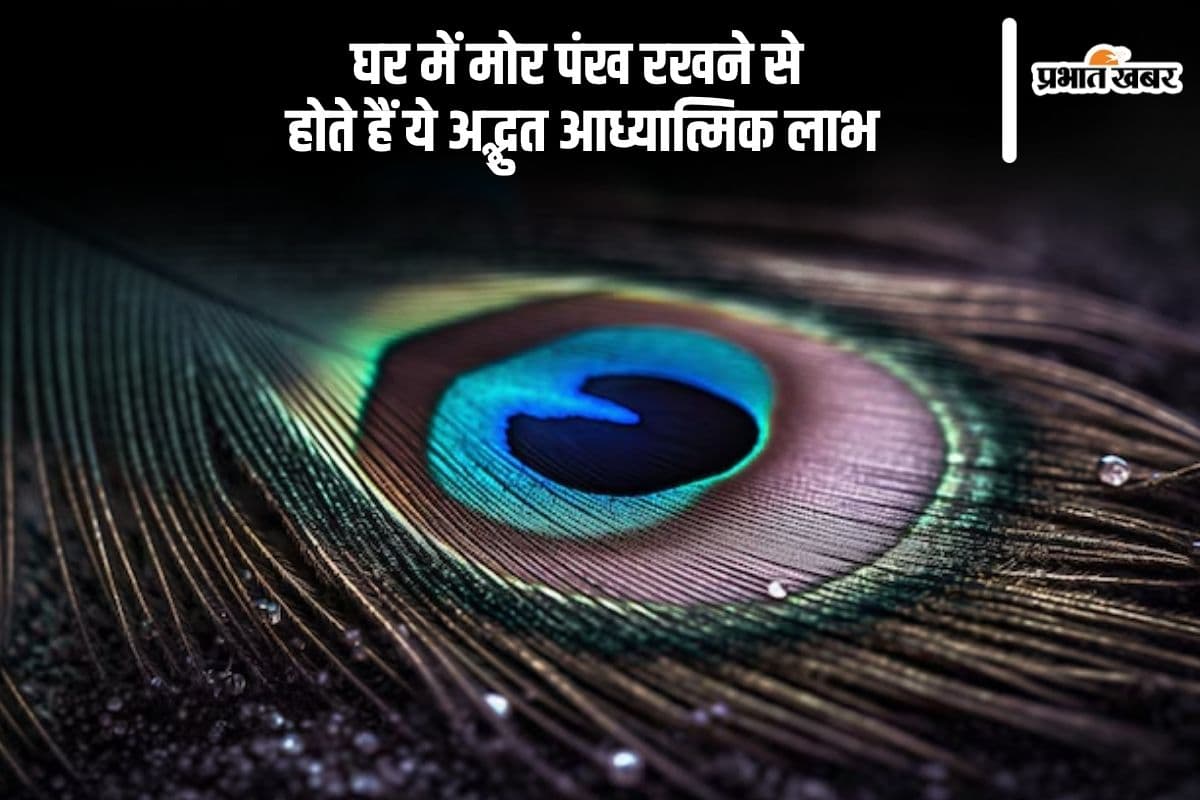 Astro Tips: घर में मोर पंख रखने से खुलते हैं सौभाग्य के द्वार