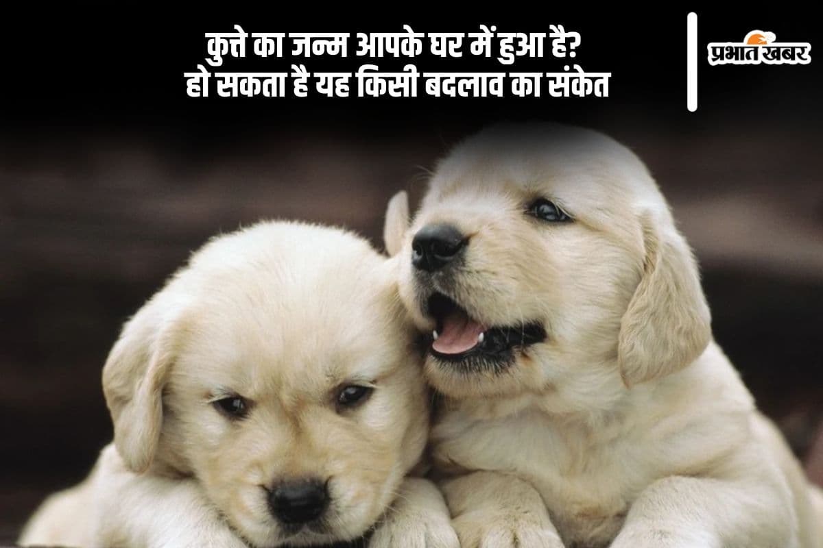 Astro Tips: घर में कुत्ते का जन्म लेना लाता हैं किस्मत या संकट, जानिए पूरा सच