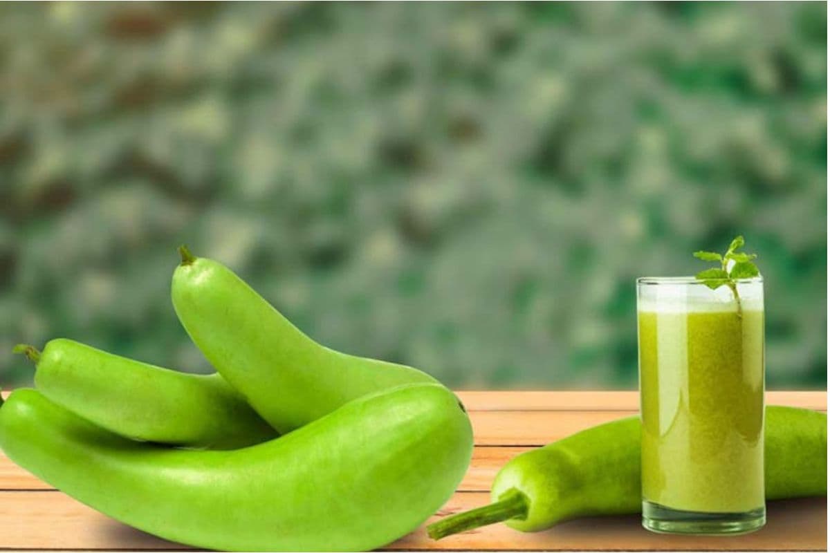 Bottle Gourd Juice Benefits: गर्मी में अमृत है लौकी का जूस,15 दिन में महसूस करें कमाल के बदलाव