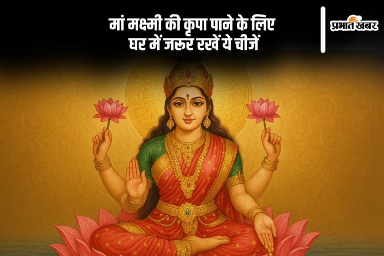 Astro Tips: मां मक्ष्मी की कृपा पाने के लिए घर में जरूर रखें ये 7 चीजें, मिलेगी सुख-समृद्धि और सकरतात्मक ऊर्जा