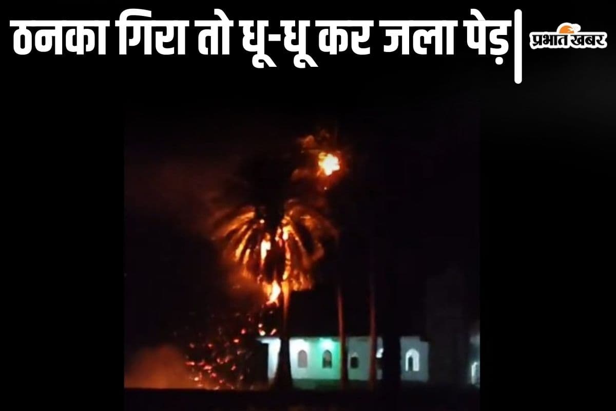 VIDEO: सहरसा में ठनका गिरा तो धू-धू कर जला ताड़ का पेड़, वीडियो देखकर रह जाएंगे दंग