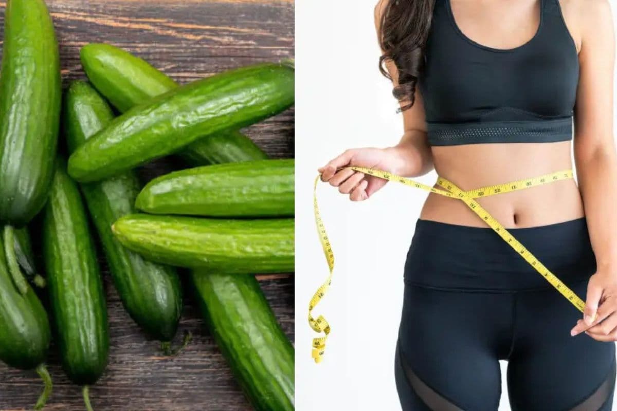 Cucumber Weight Loss:अगर आपको भी चाहिए स्लिम फीगर तो आज ही खाना शुरू कर दें यह फ्रूट