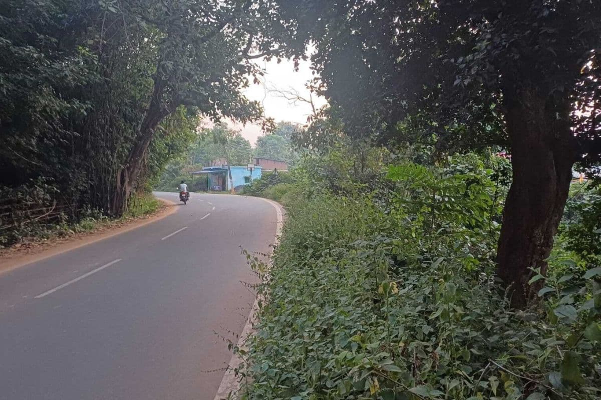 देवघर के हरिलाजोड़ी के घुमावदार मोड़ का होगा चौड़ीकरण, अब तक कई गंवा चुके हैं अपनी जान