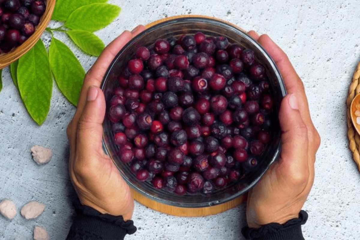 Falsa Sharbat Recipe and Benefits: फालसा शरबत बनाने की रेसिपी