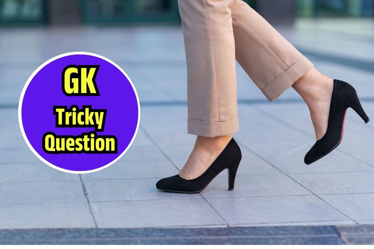 General Knowledge: किस शहर में लड़कियां नहीं पहन सकती 2 इंच से ज्यादा हील्स? देखें GK के ट्रिकी सवाल-जवाब