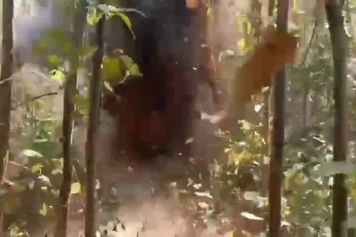 IED ‍Blast In Saranda: झारखंड के सारंडा में आईईडी ब्लास्ट, एक ग्रामीण घायल