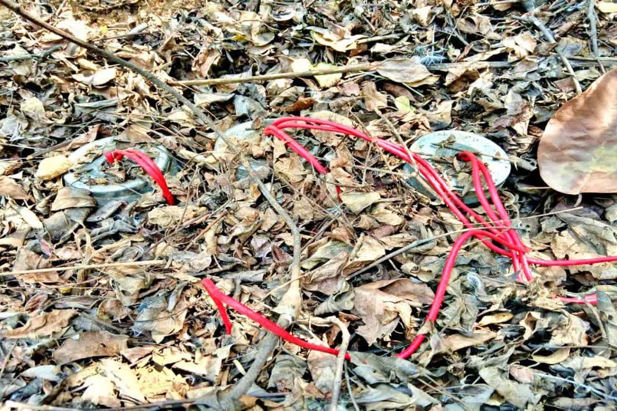 गयाजी: सुरक्षा बलों को उड़ाने की थी तैयारी, जमीन में प्लांट किए गए 10-10 किलो के तीन आईईडी बरामद