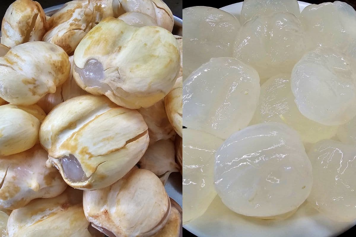 रांची की सड़कों पर बिक रहा अनोखा फल, इसमें छिपे हैं खूबसूरती के कई राज