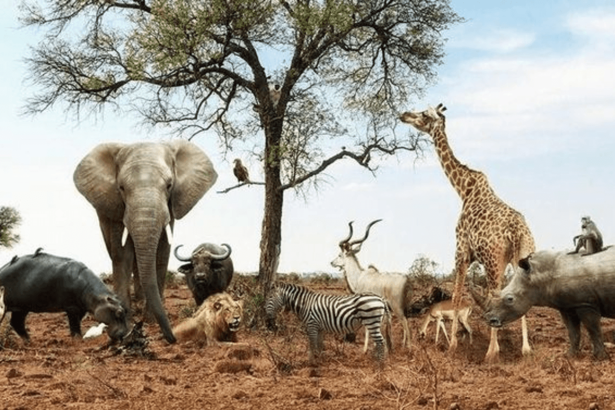 International Biodiversity Day 2025: 22 मई को मनाया जाता है अंतरराष्ट्रीय जैव विविधता दिवस- क्या है इस वर्ष की थीम