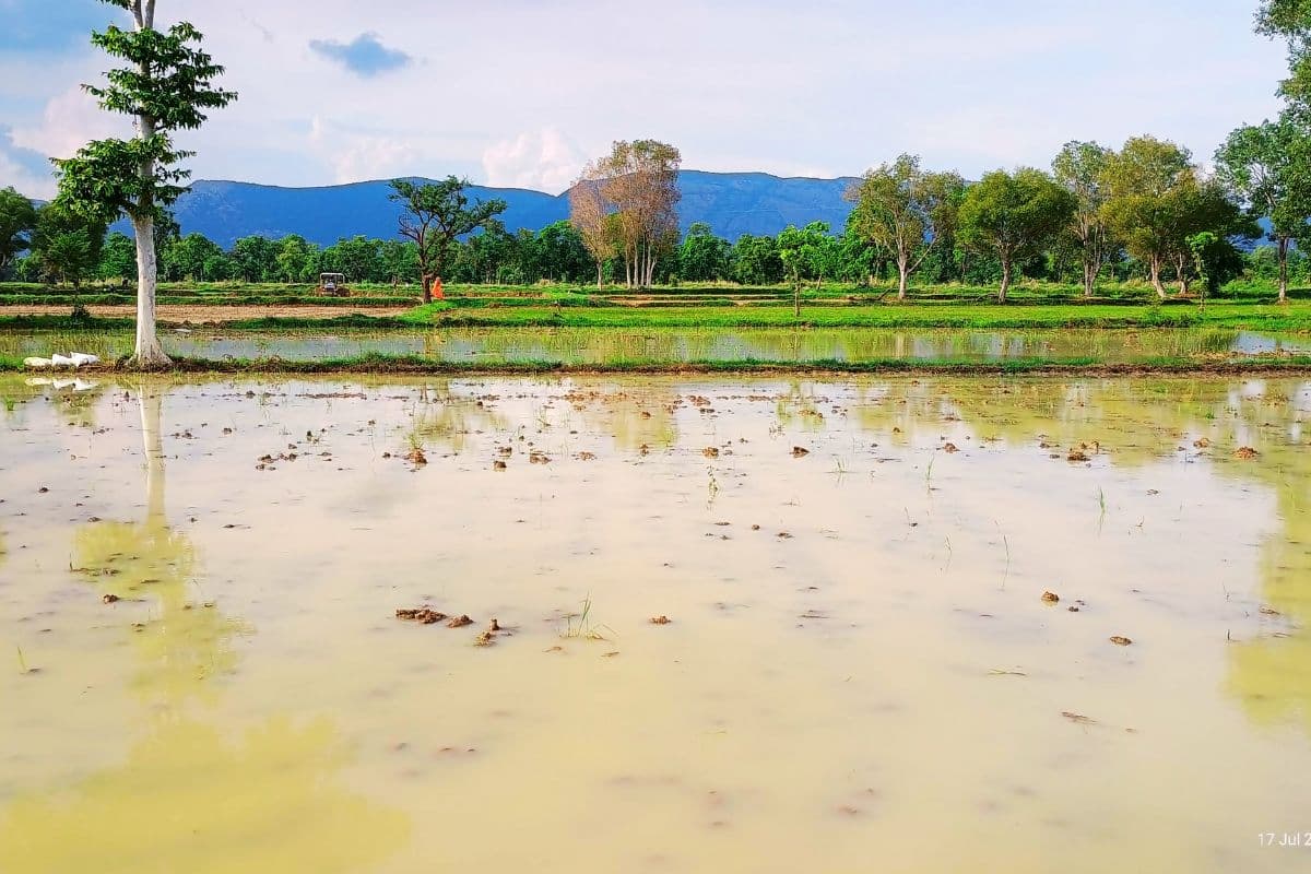 Jharkhand Weather Today: आंधी-तूफान के साथ झमाझम बारिश से झारखंड में मौसम हुआ सुहाना