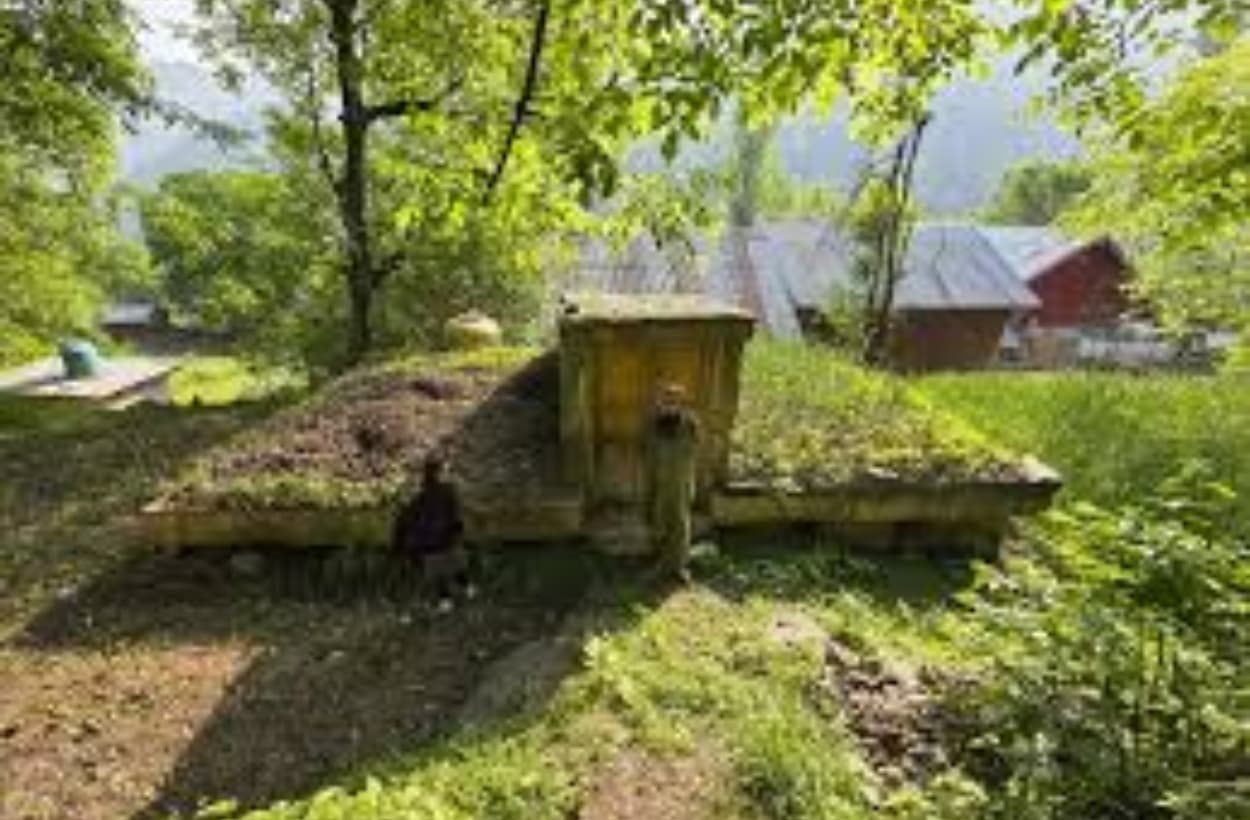 भारत-पाक सीमा पर बने 9,500 बंकर, जम्मू-कश्मीर के मुख्य सचिव ने दी जानकारी