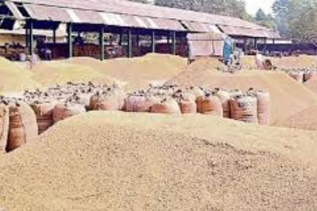 झारखंड में किसानों को 72 घंटे में मिलने हैं धान के पैसे, 45 दिनों बाद भी फूटी कौड़ी नहीं, ऑफिस का चक्कर काट रहे अन्नदाता