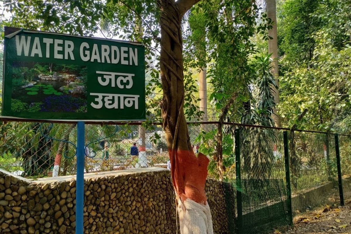Patna Zoo: पटना जू में लीजिए रेन डांस का मजा, इसी महीने वाटर गार्डेन में बनेगा चेंजिंग रूम
