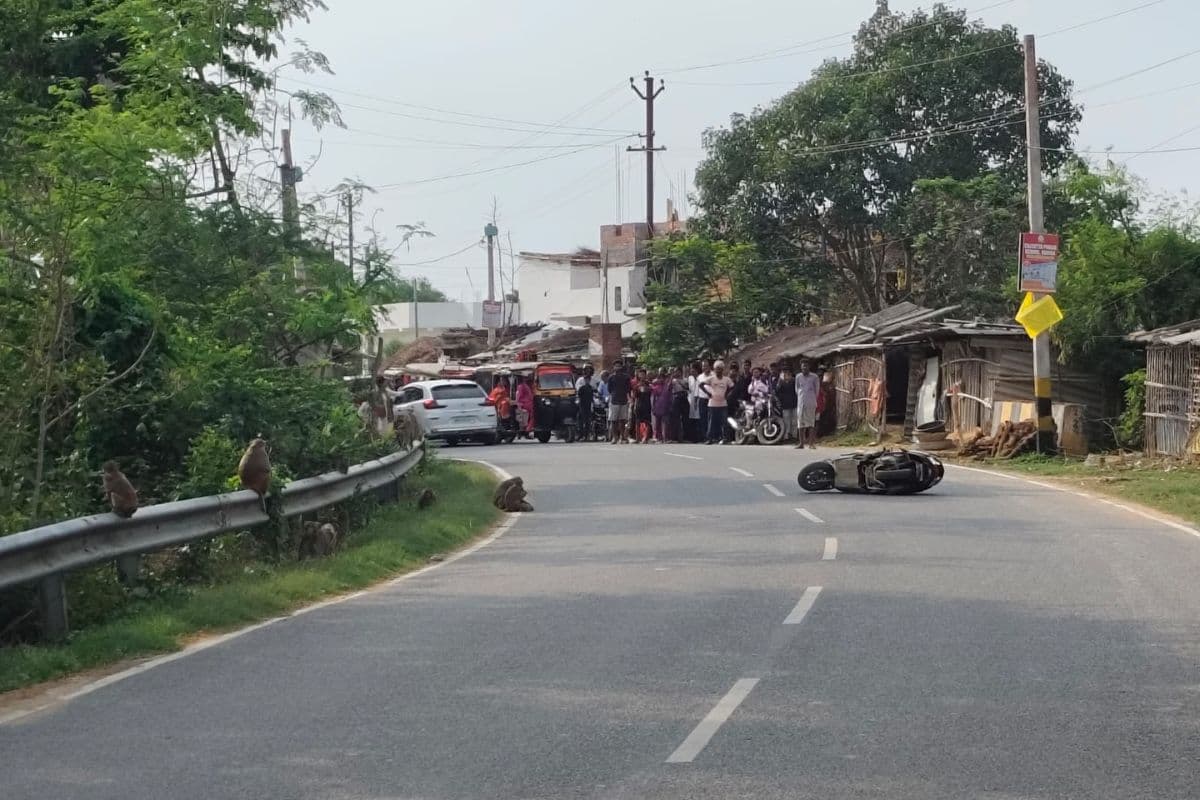 बिहार: इंसाफ चाहिए! घायल बच्चे के लिए बंदरों ने सड़क किया जाम, यात्री रहे परेशान