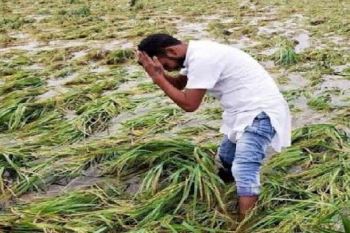 बिहार: मिट्टी से रिश्ता जोड़ा, मौसम ने तोड़ दिया, बिहटा के किसान अभिषेक कुमार की कहानी सुन भर आएंगी आंखें