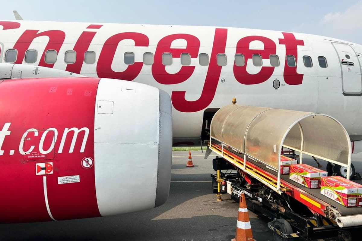 दरभंगा एयरपोर्ट से मुंबई के लिए 2.5 टन शाही लीची की पहली खेप रवाना, एक्सपोर्ट की तीन बड़ी कंपनियों ने किया दौरा