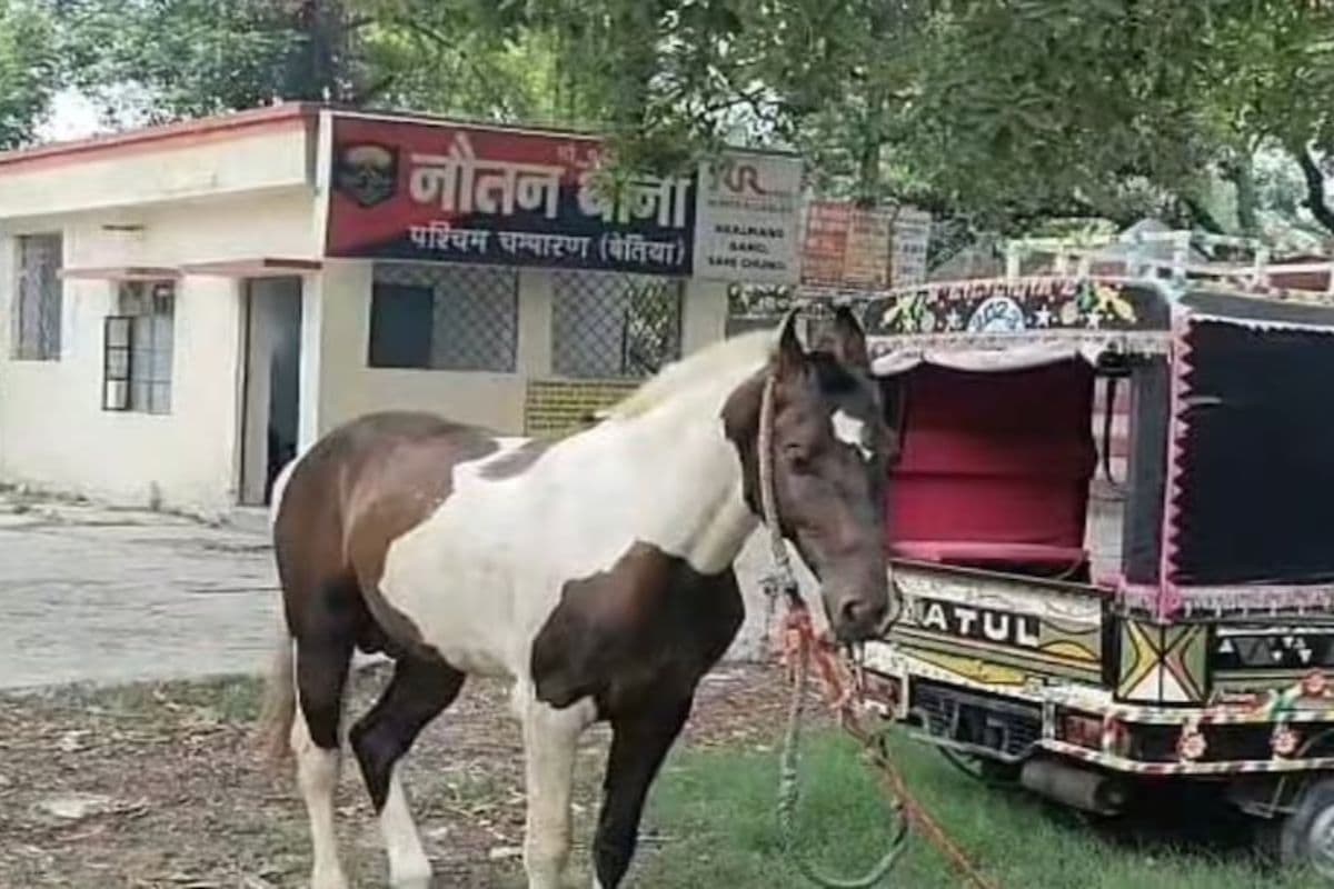 शराब तस्करी के आरोप में थाने में खड़ा घोड़ा शराब तस्करी के आरोप में थाने में खड़ा घोड़ा