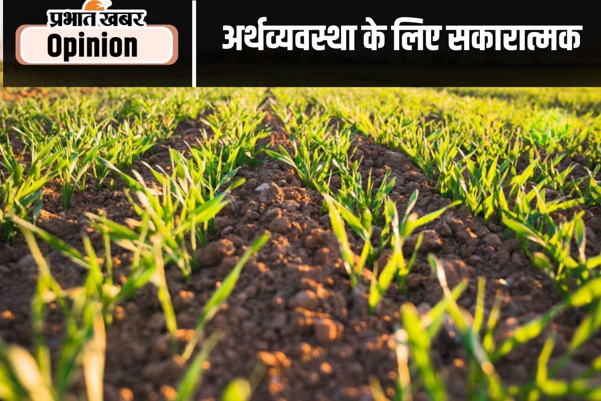 रिकॉर्ड खाद्यान्न उत्पादन