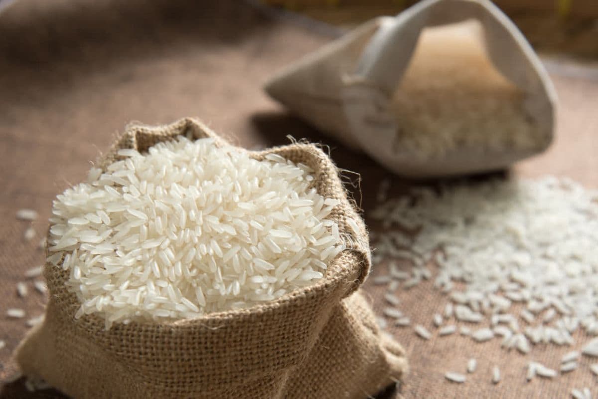 सांकेतिक फोटो