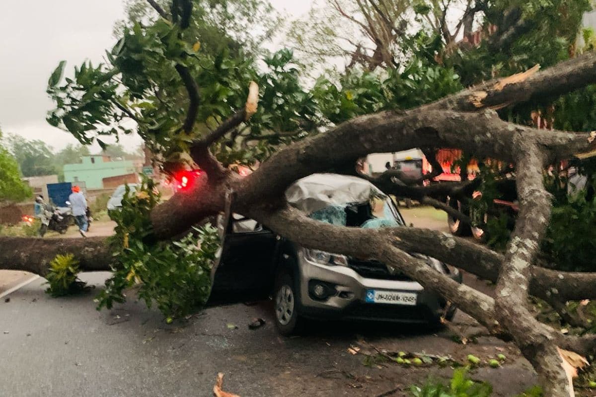 Road Accident: हजारीबाग में चलती कार पर गिरा पेड़, BAO और उनके पिता घायल
