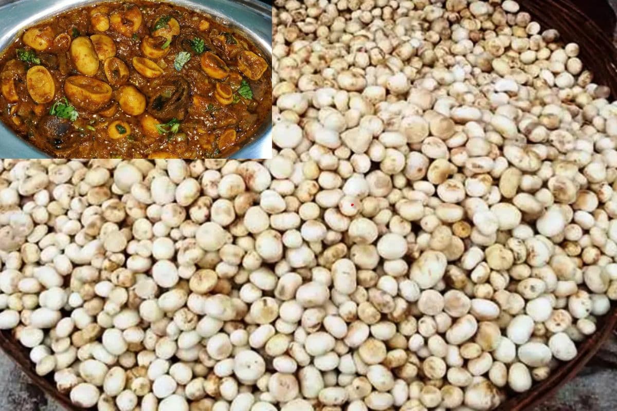 बस दो महीने और मिलने लगेगा वेज मटन, स्वाद और फायदा इतना कि पनीर खाना भूल जाएंगे