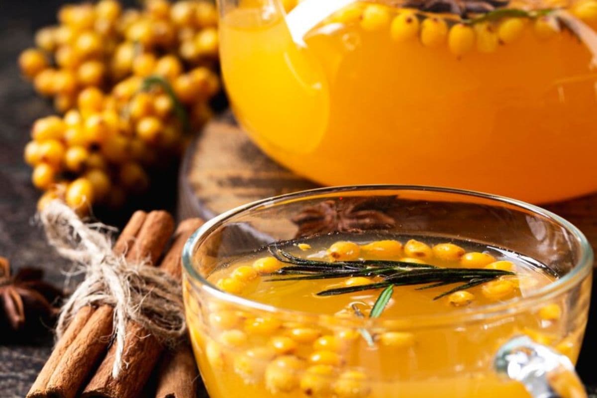 भूलकर भी इन लोगों को नहीं पीना चाहिए बेल का शरबत, नहीं तो पड़ेगा महंगा