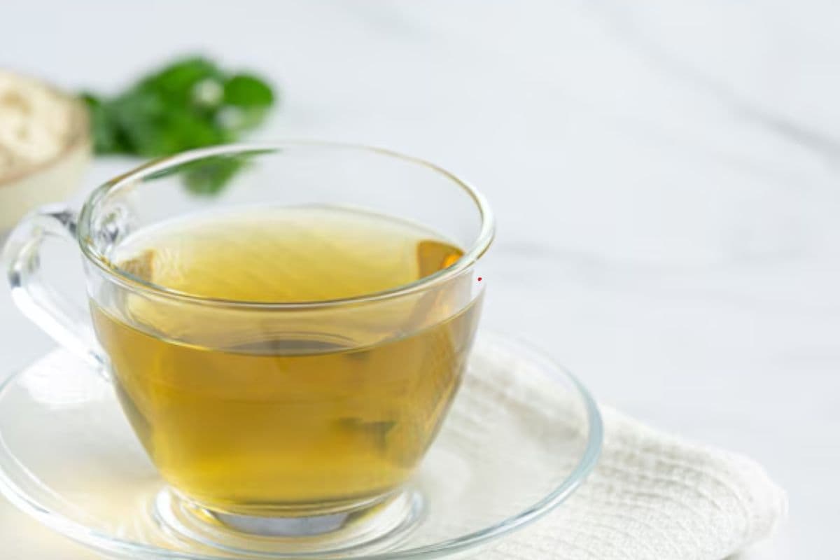 सुबह सुबह पी लें मुनगा के पत्तियों की चाय, डायबिटीज समेत कई रोग बन जाएंगे मिस्टर इंडिया