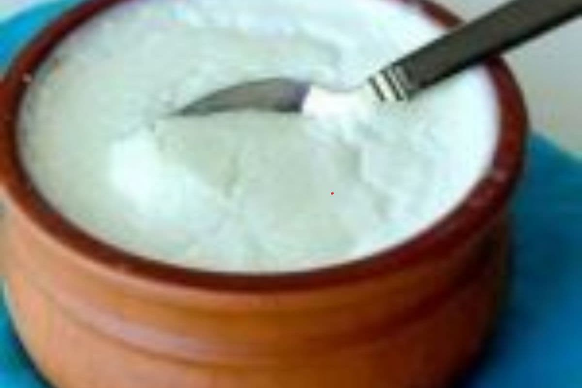 Curd Benefits