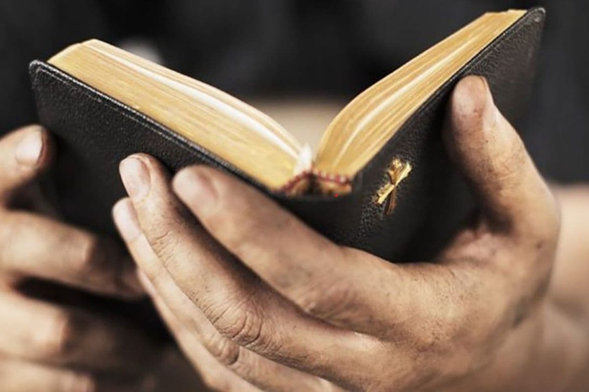 Bible Quotes: असफलता से जूझ रहे हैं तो बाइबल का यह वचन जरूर पढ़ लें, मुश्किल वक्त में दिखायेगा रास्ता